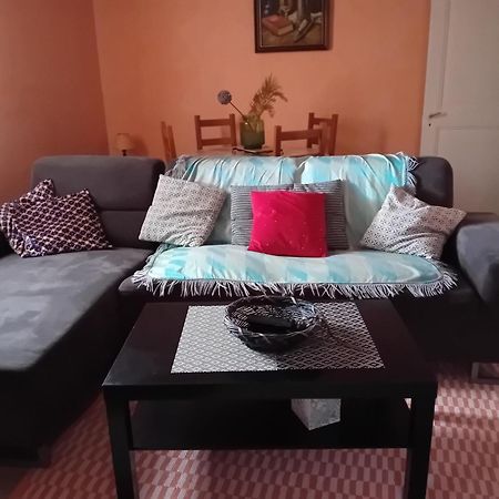 Appartement Spacieux Dans Joli Village Alsacien Châtenois Exteriér fotografie