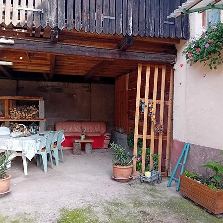 Appartement Spacieux Dans Joli Village Alsacien Châtenois Exteriér fotografie