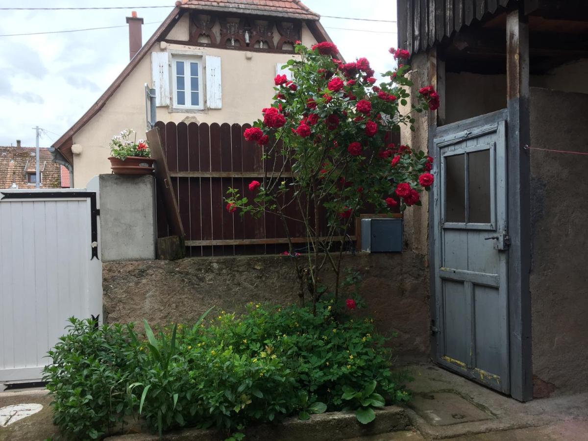 Appartement Spacieux Dans Joli Village Alsacien Châtenois Exteriér fotografie