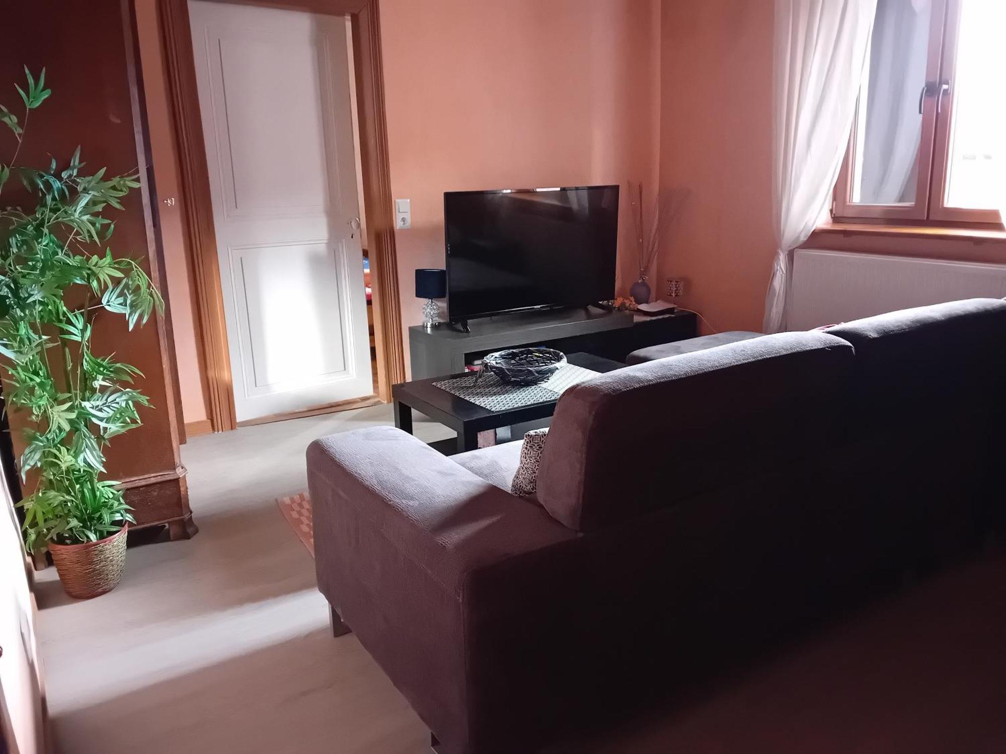 Appartement Spacieux Dans Joli Village Alsacien Châtenois Exteriér fotografie