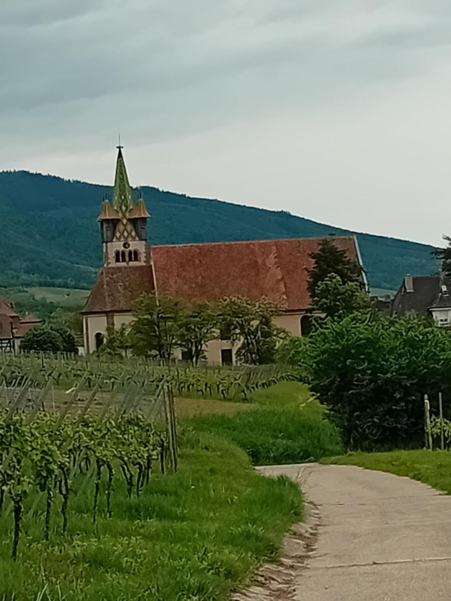 Appartement Spacieux Dans Joli Village Alsacien Châtenois Exteriér fotografie