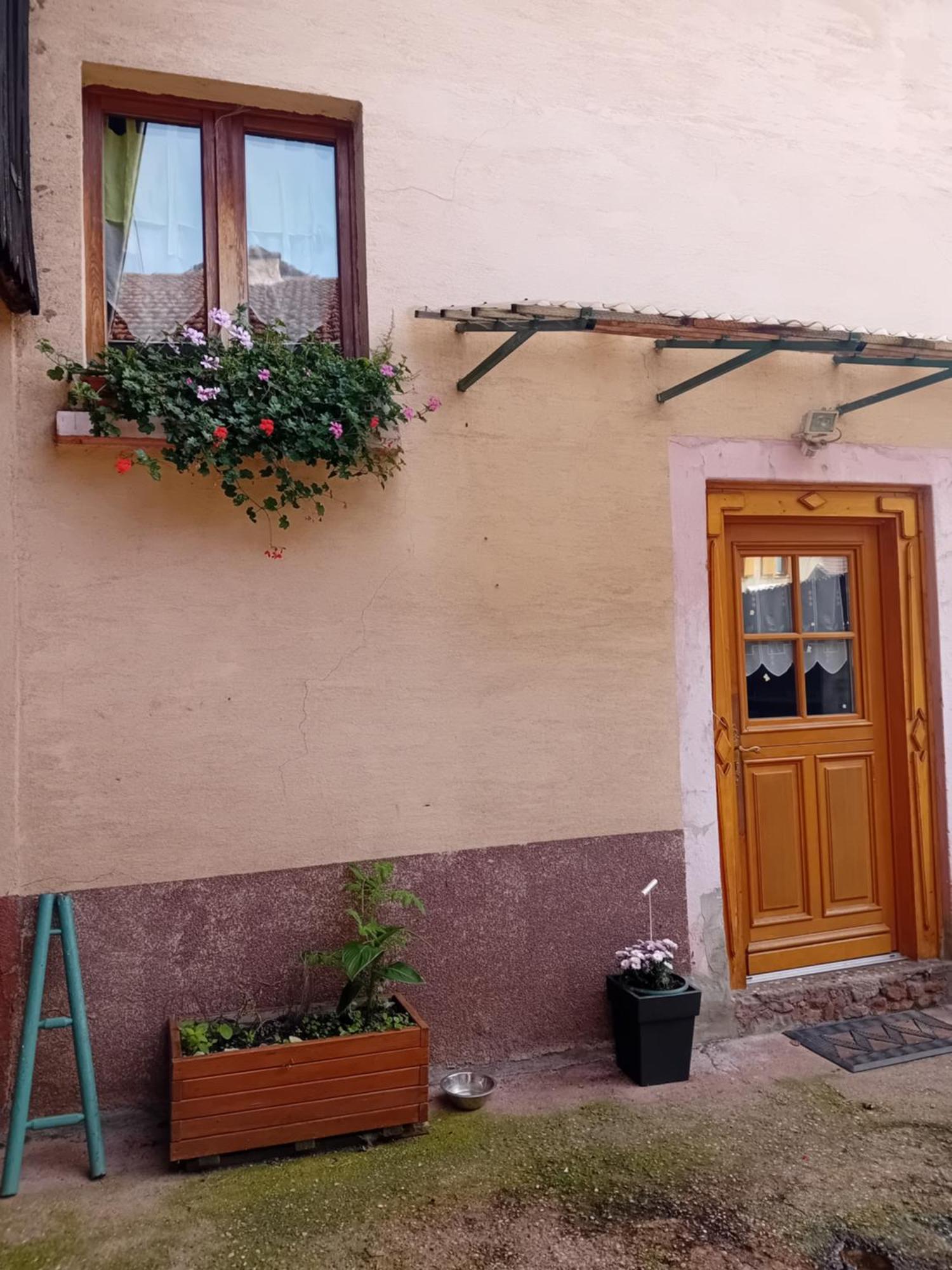Appartement Spacieux Dans Joli Village Alsacien Châtenois Exteriér fotografie