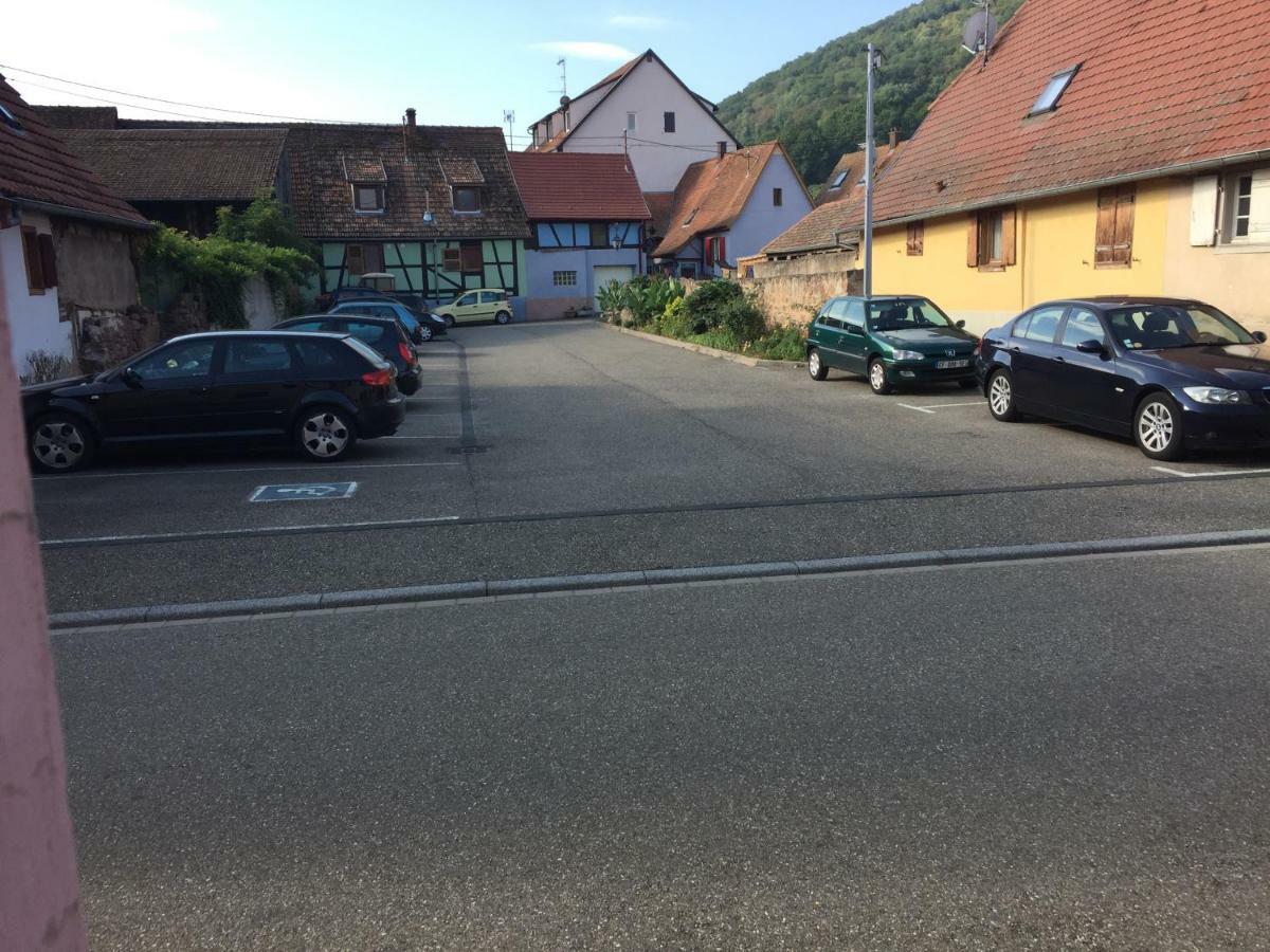 Appartement Spacieux Dans Joli Village Alsacien Châtenois Exteriér fotografie